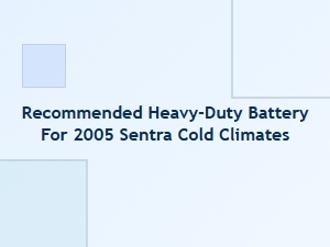 Recommended Heavy-Duty Battery Brands for Cold Climates